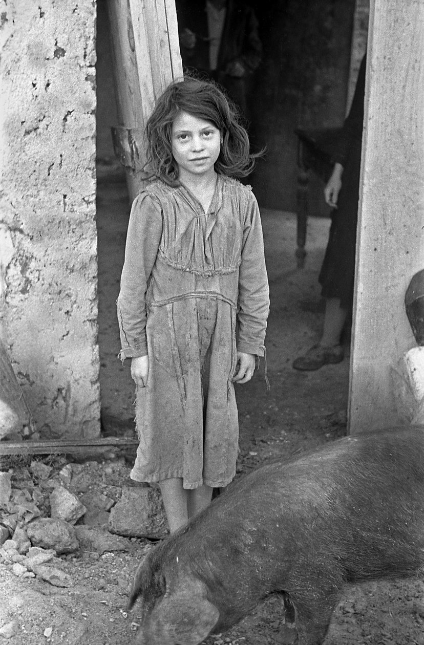 CAMPAGNE DE CROTONE - FILLE ET COCHON - Ando Gilardi