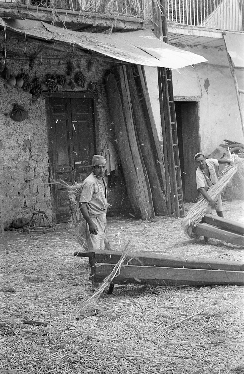 TRANSFORMATION DU CHANVRE, TRAVAILLEURS DE LA "MACENNELE" - Ando Gilardi