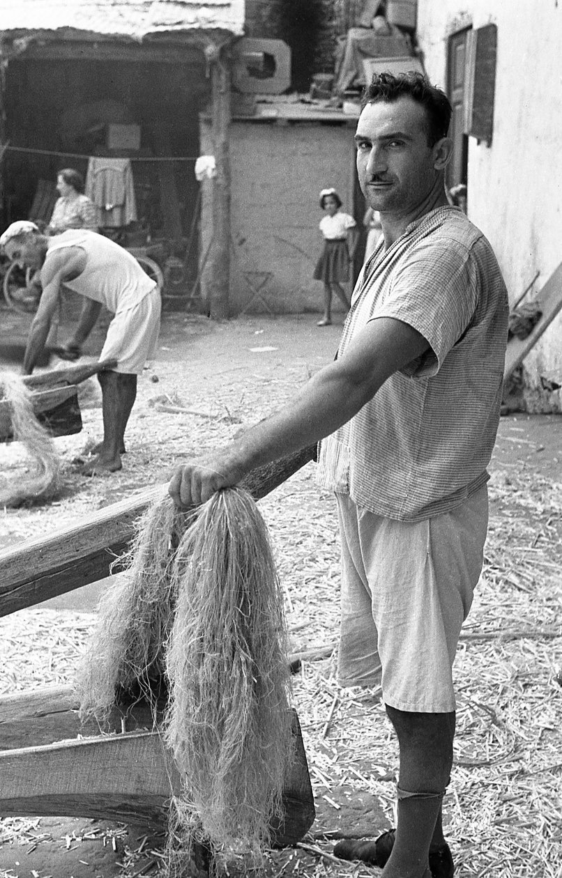 LE CHANVRE TRAVAILLE, RAFFAELE CORCIONE - Ando Gilardi