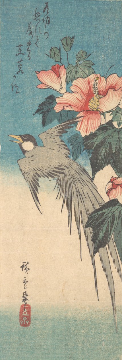 Hibiscus Mutabilis et oiseau à longue queue, vers 1842 - Ando Hiroshige