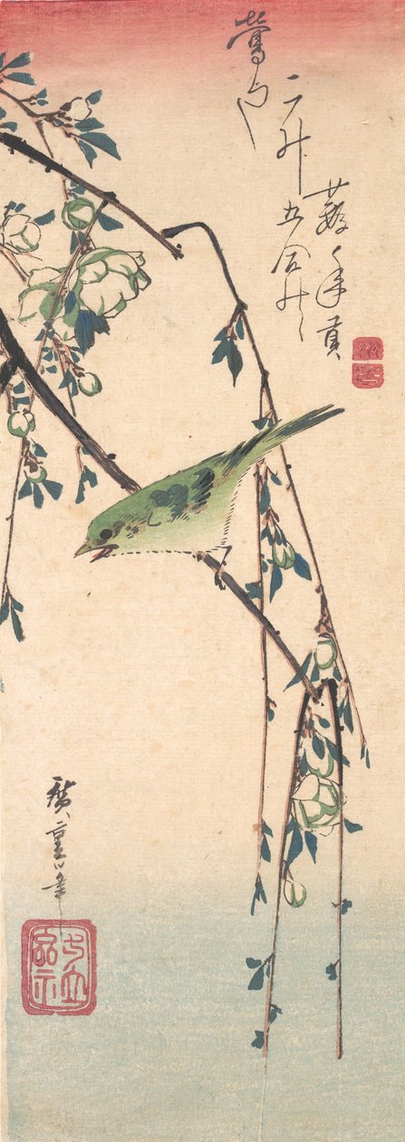 Paruline sur une branche de prunier - Ando Hiroshige