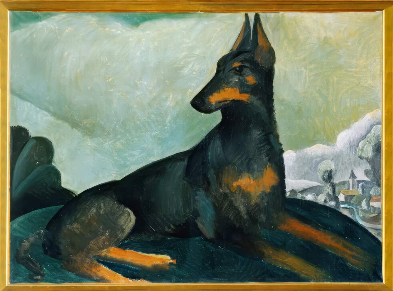 Le chien de l