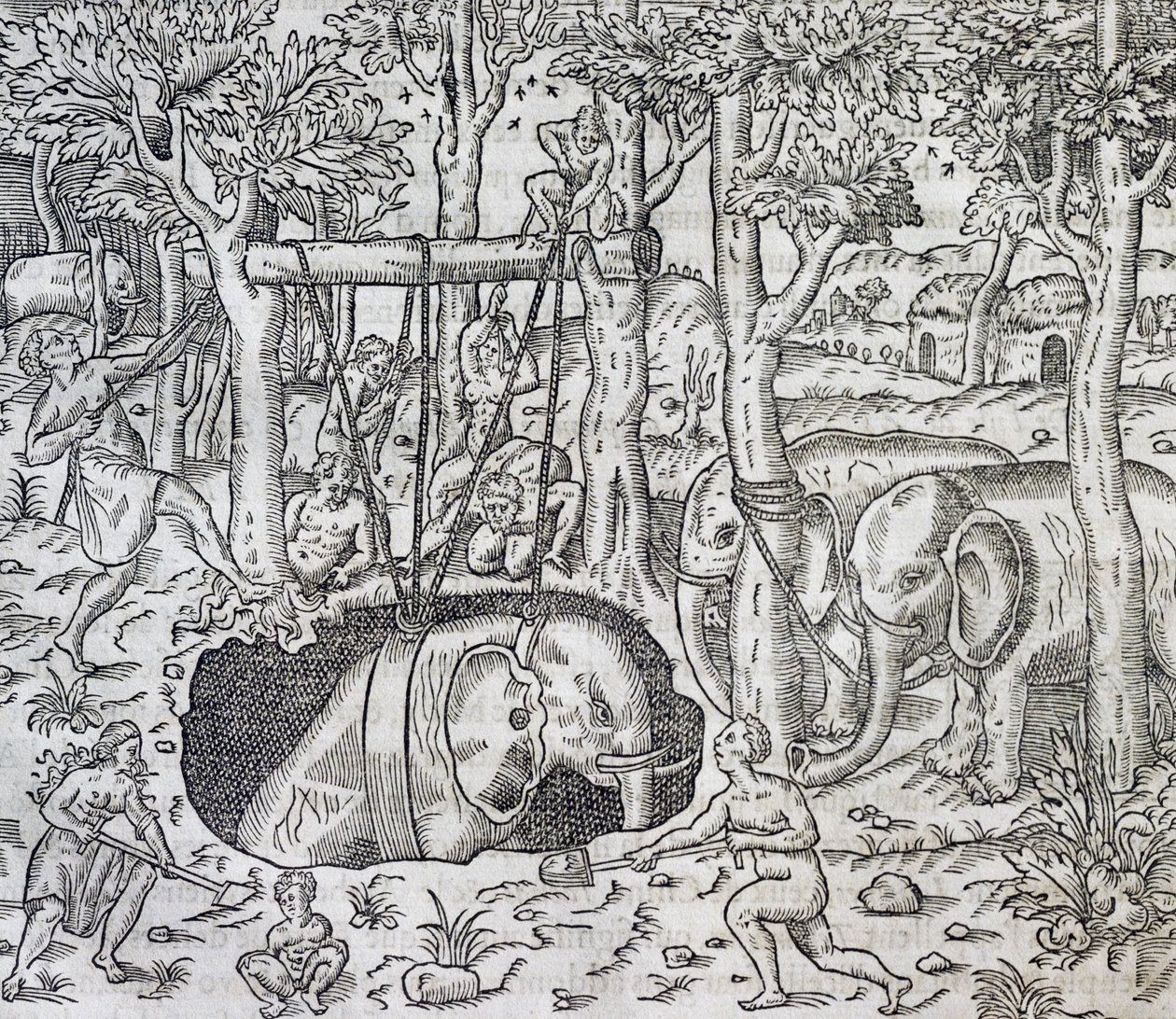 Chasse à l