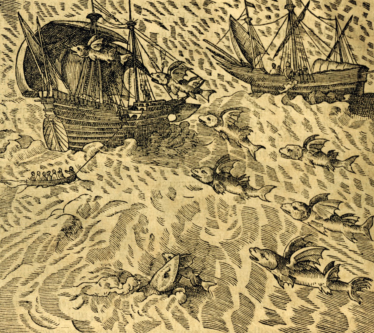 Poissons volants dans les mers tropicales, gravure de Cosmographie Universelle, par André Thevet (1504-1592), Paris - Andre Thevet