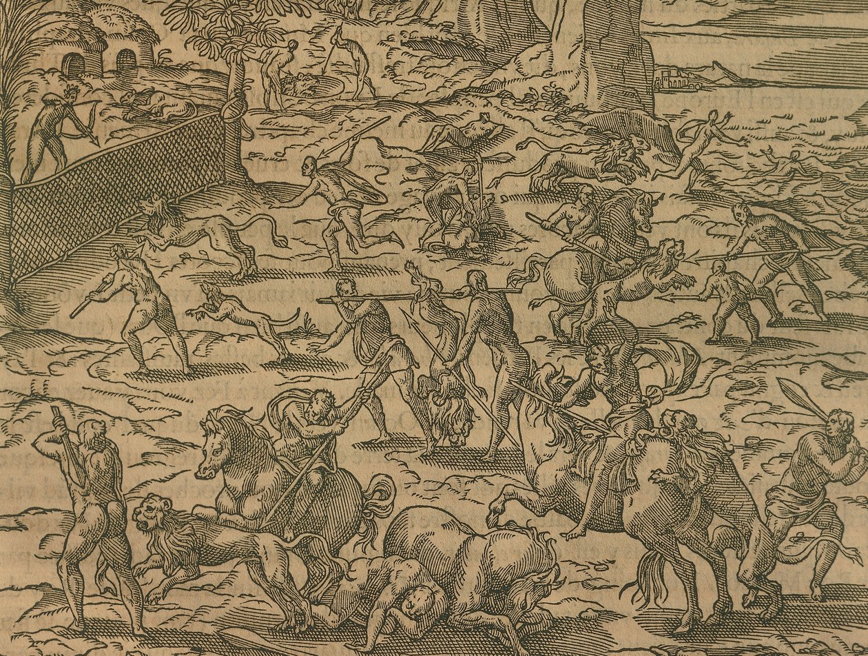 Partie de chasse - Andre Thevet