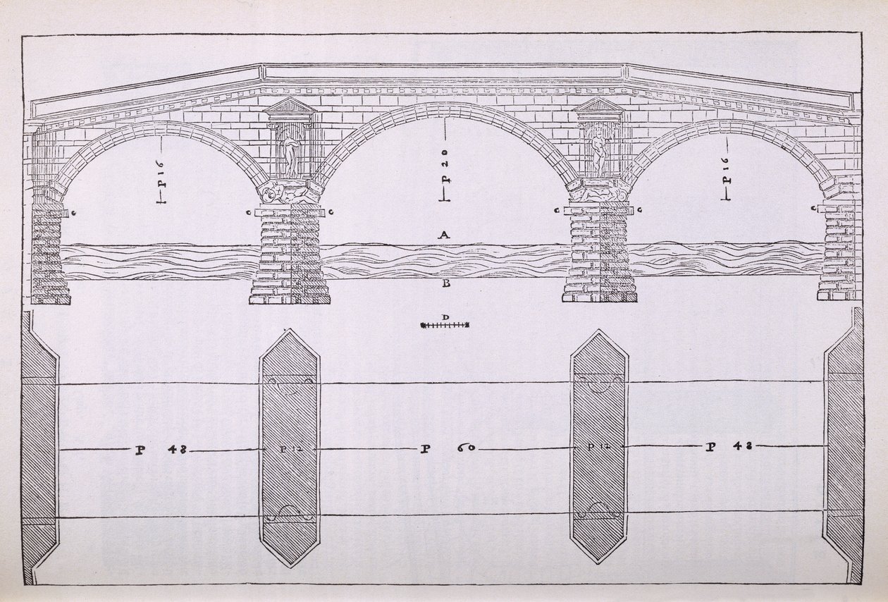 Élévation d