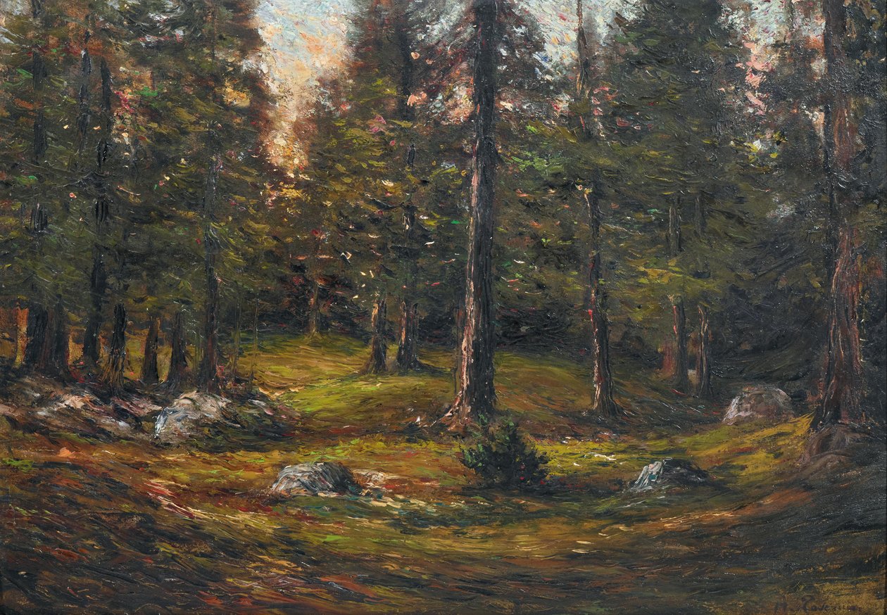 Andrea Tavernier La clairière - Andrea Tavernier