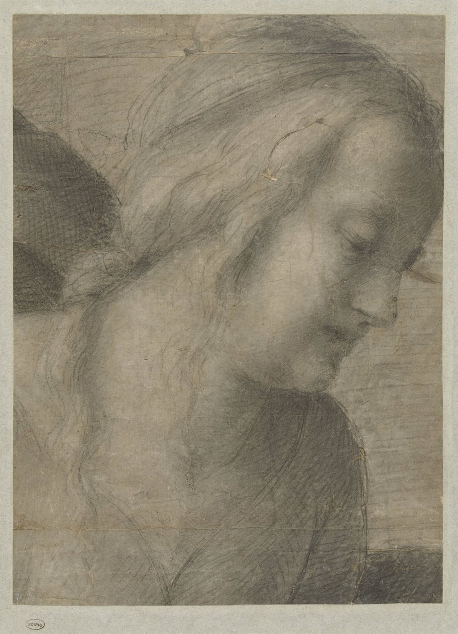 Tête de Marie, dans une Adoration - Andrea del Sarto