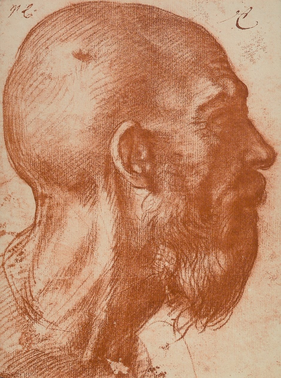 Tête d