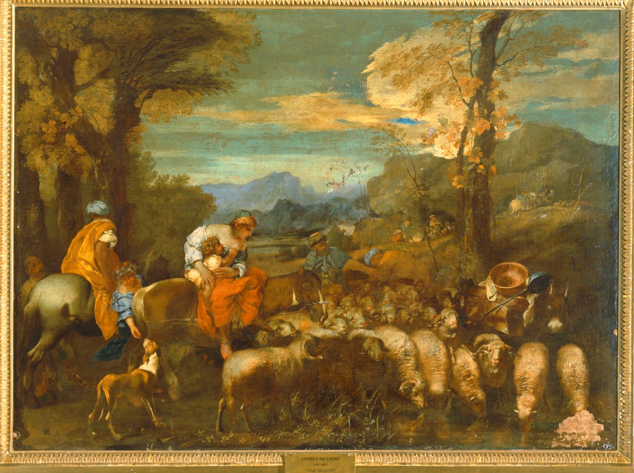 Les voyages de Jacob ... - Andrea di Leone
