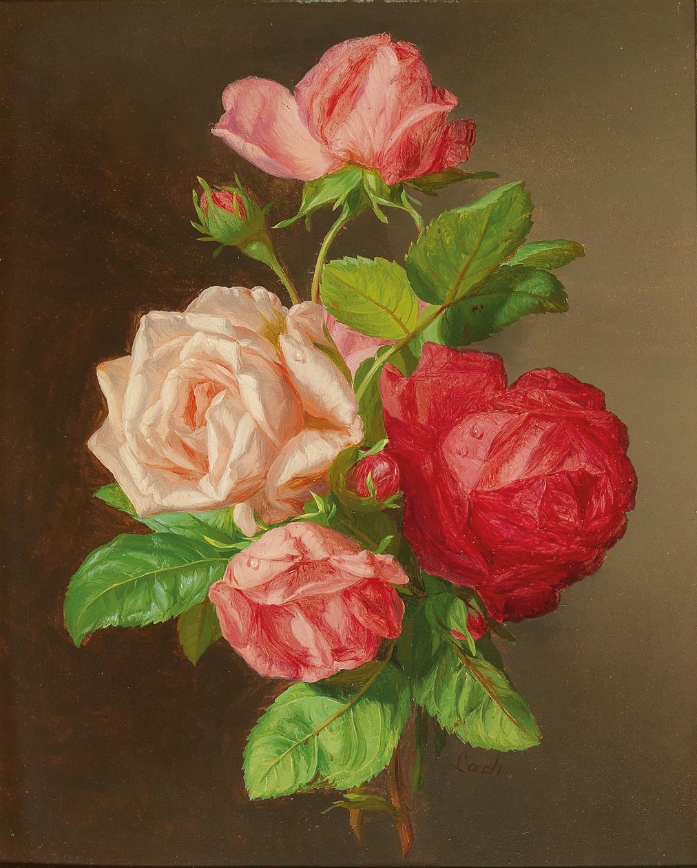 Roses - Andreas Lach