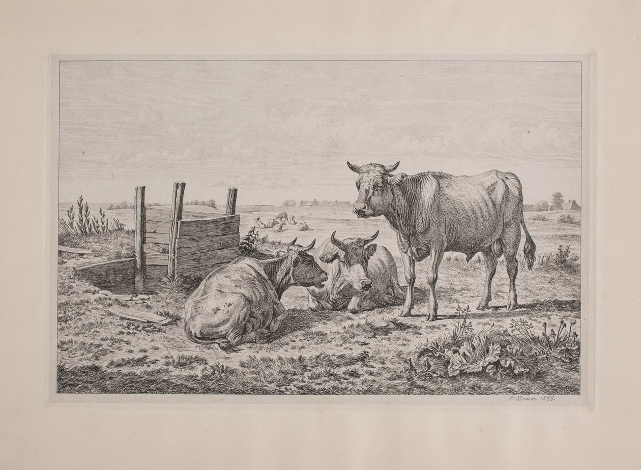Danois : Un taureau et deux vaches - Andreas Peter Madsen
