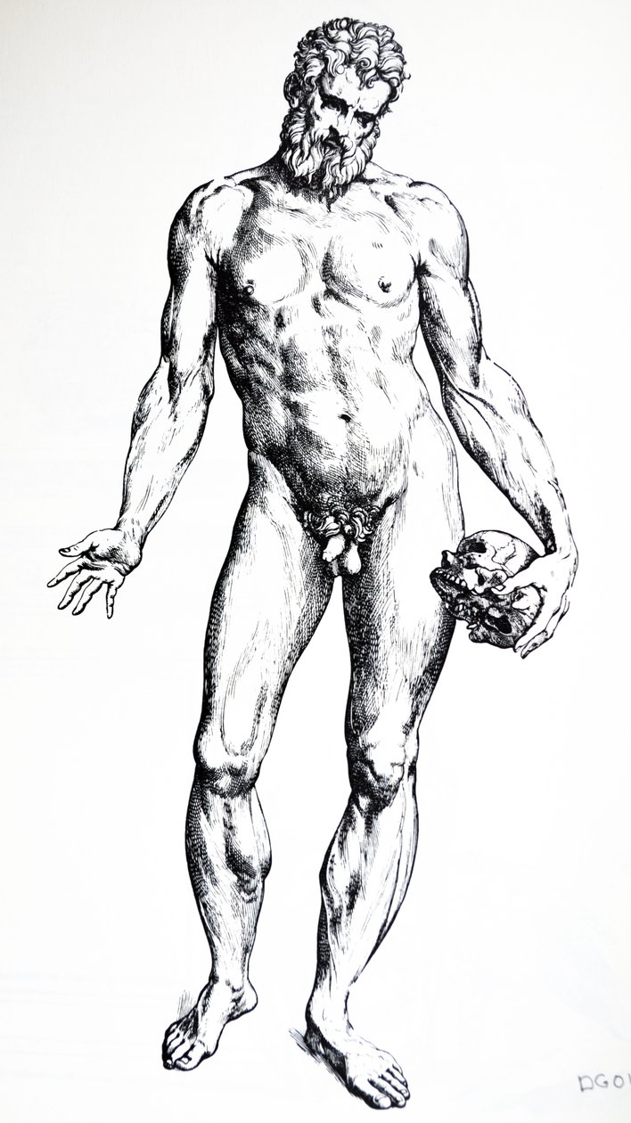 Les Planches du septième livre de De Humani Corporis Fabrica - Andreas Vesalius