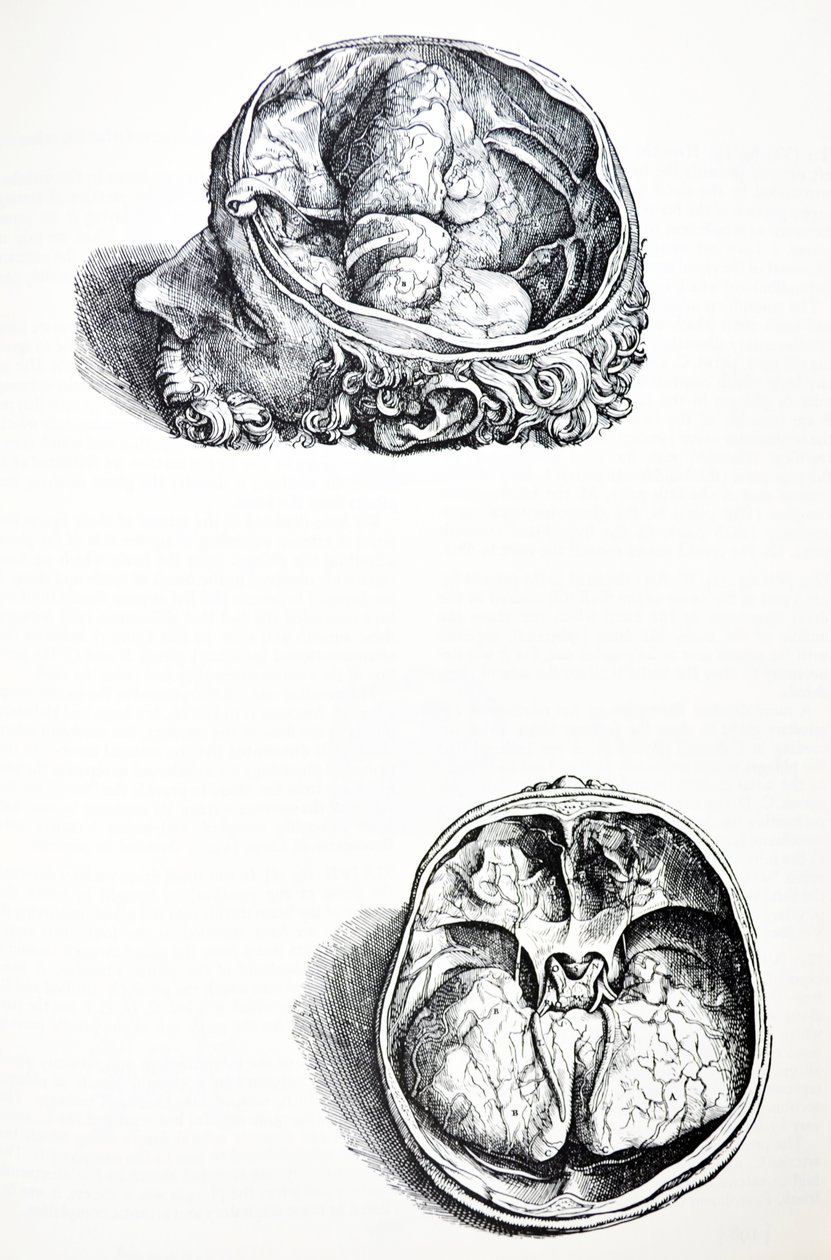 Les Planches du Septième Livre de De Humani Corporis Fabrica - Andreas Vesalius