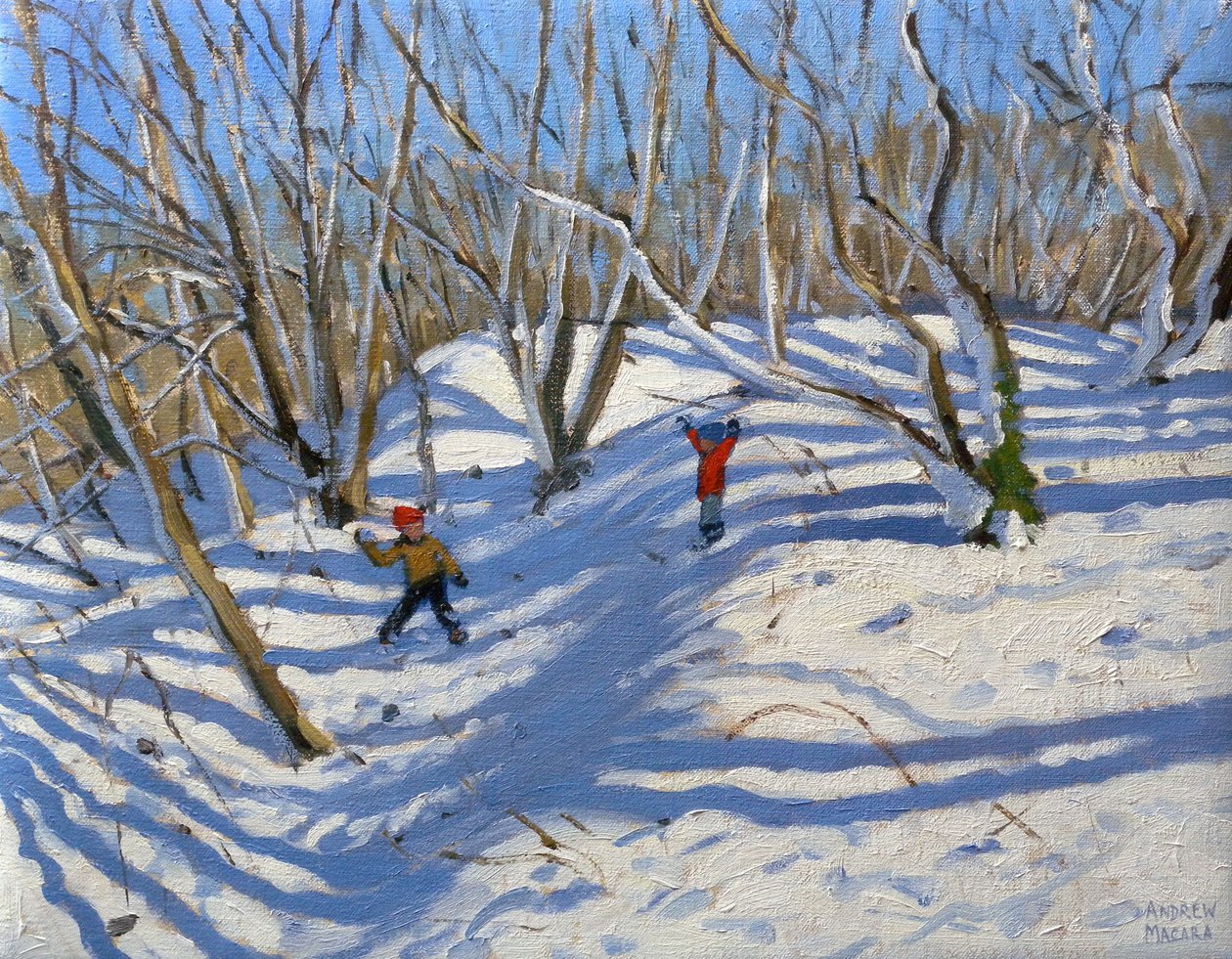 Neige de printemps, Newhaven Derbyshire, 2008 - Andrew Macara