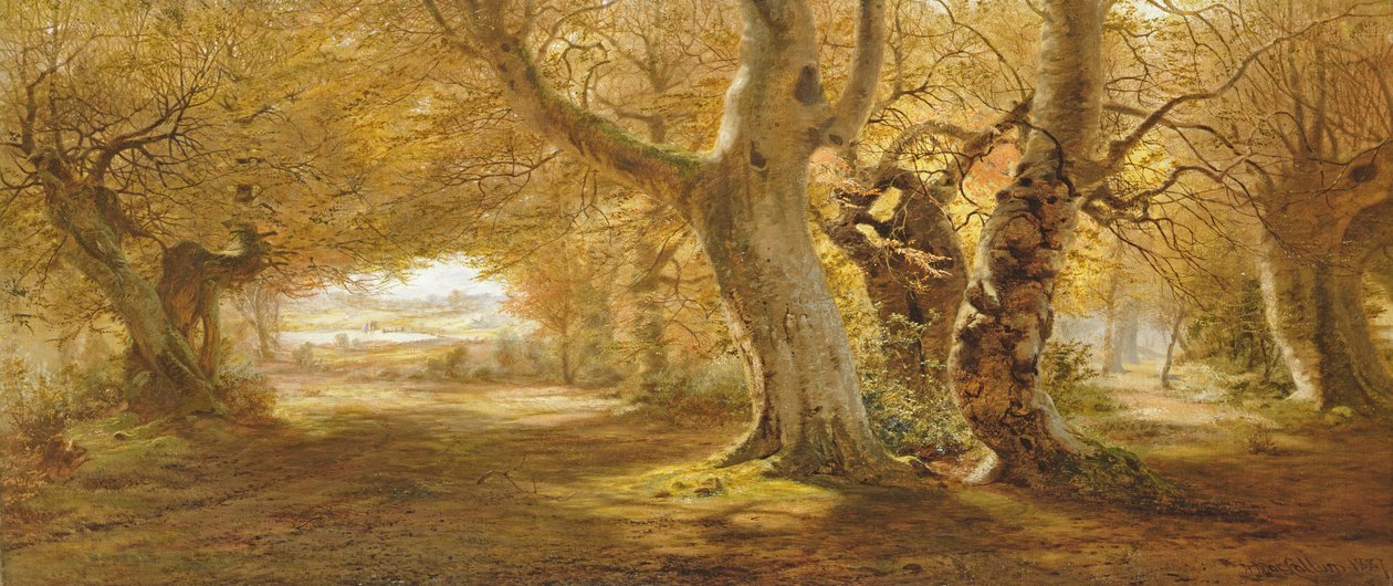 Paysage boisé, 1887 - Andrew McCallum