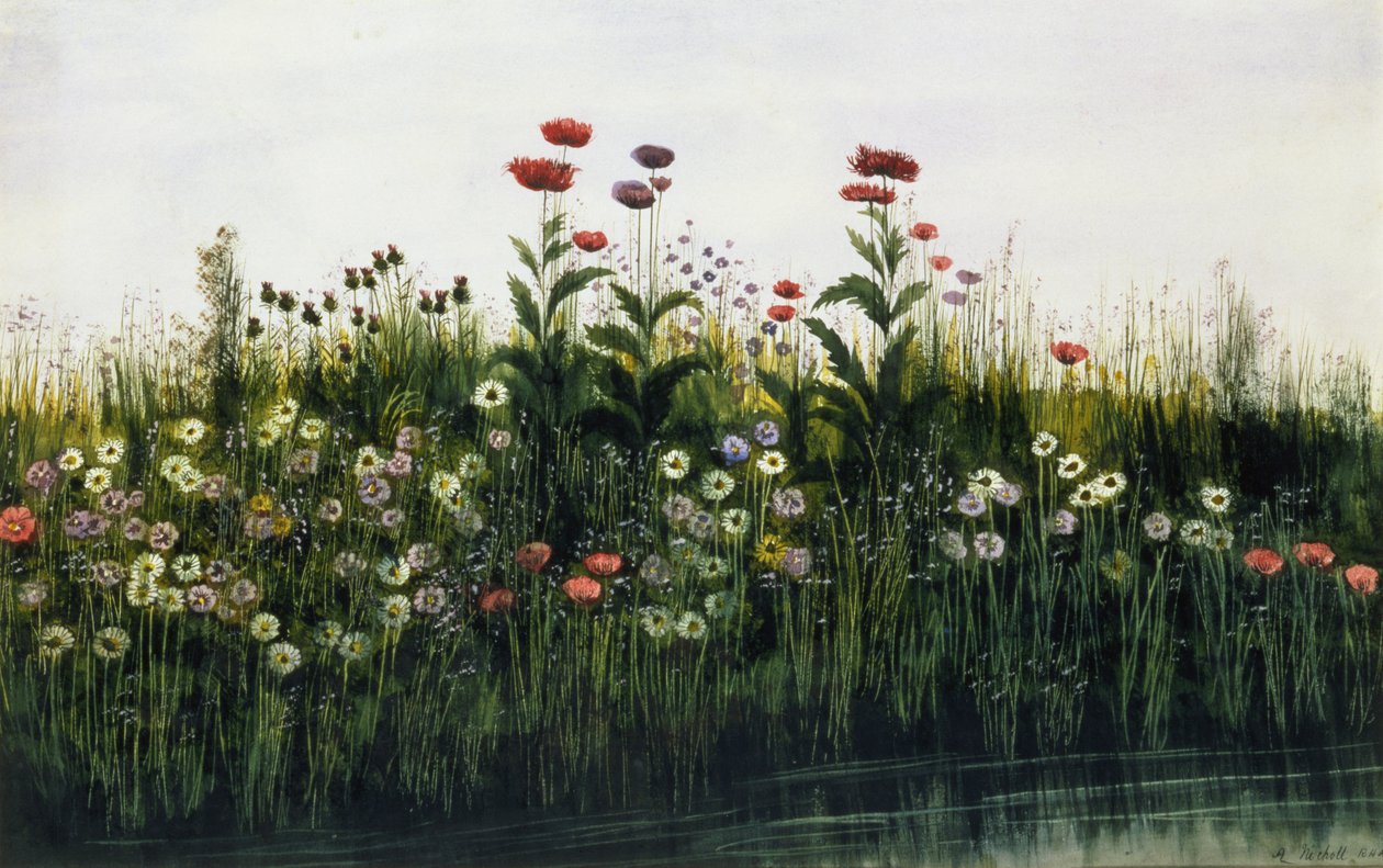 Coquelicots, marguerites et chardons sur une rive (paire de 85964) - Andrew Nicholl