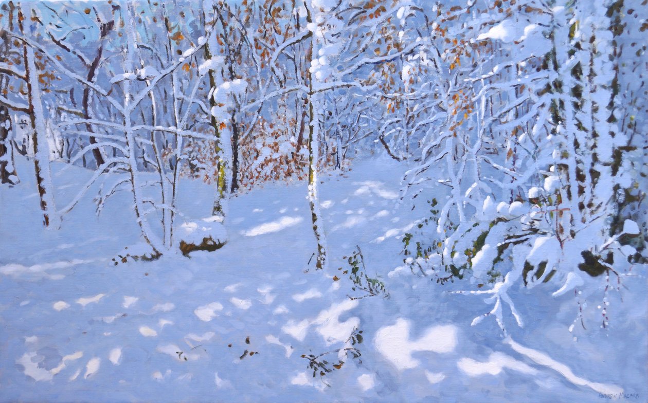 Neige de novembre, Allestree Woods, Derby - Andrew Macara