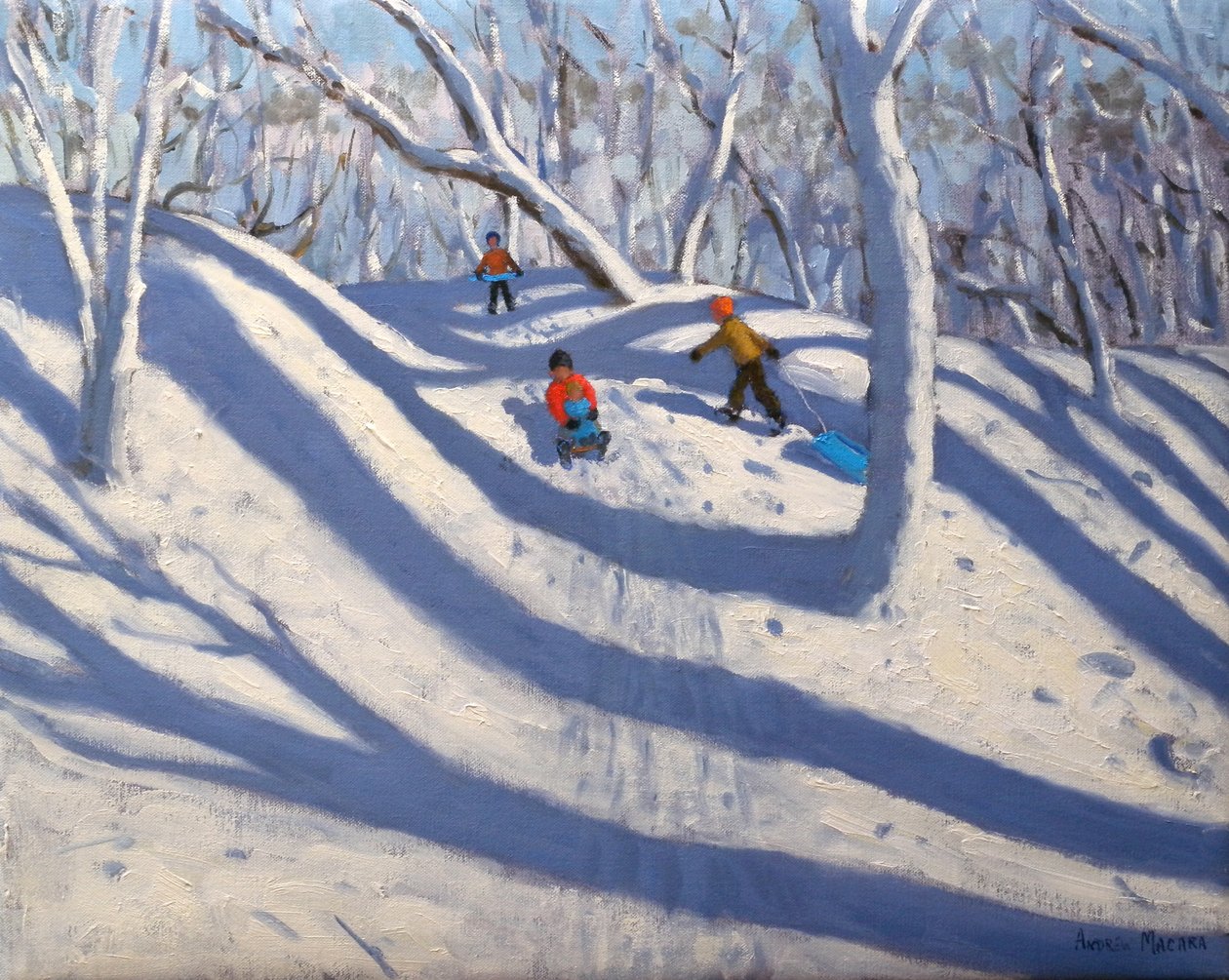 Hiver, Bramcote, Nottingham, 2009 - Andrew Macara