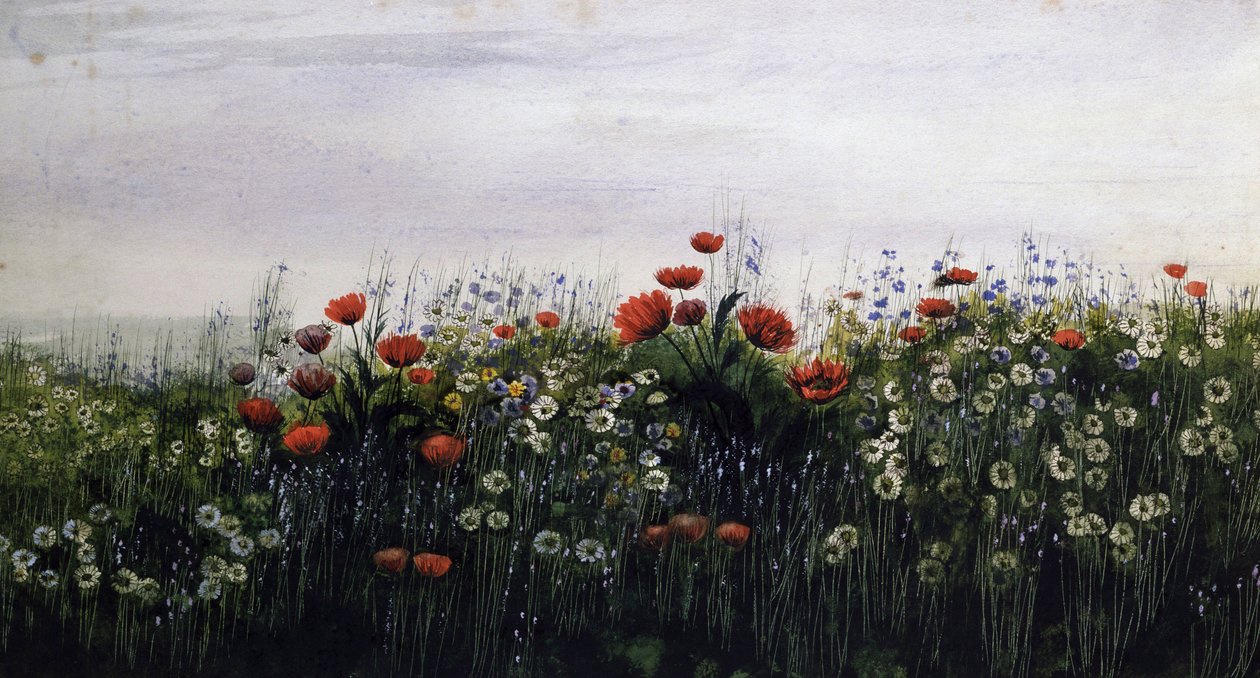 Fleurs d