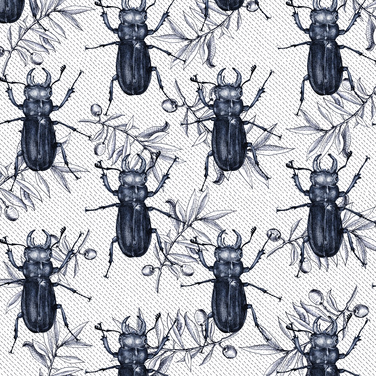 Scarabées, 2017 - Andrew Watson