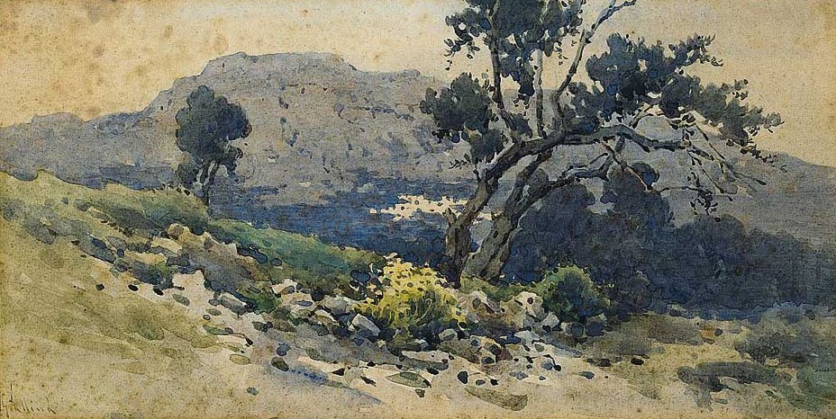 Vieil olivier - Angelos Giallinas