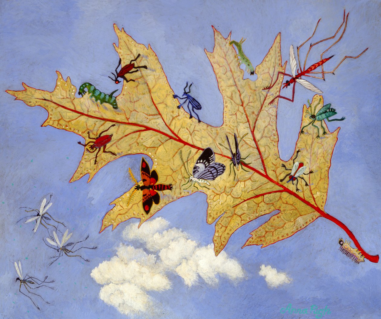 Feuille d