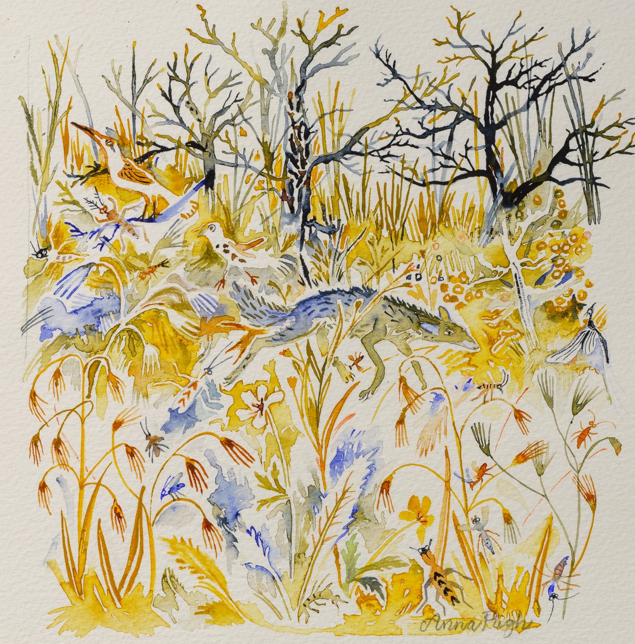 Renard dans les bois, 2023 (aquarelle) - Anna Pugh