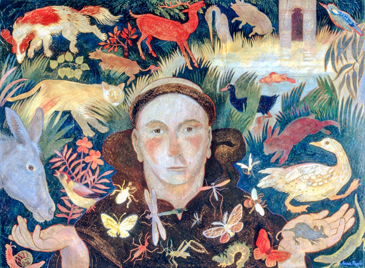 St Francis - Anna Pugh