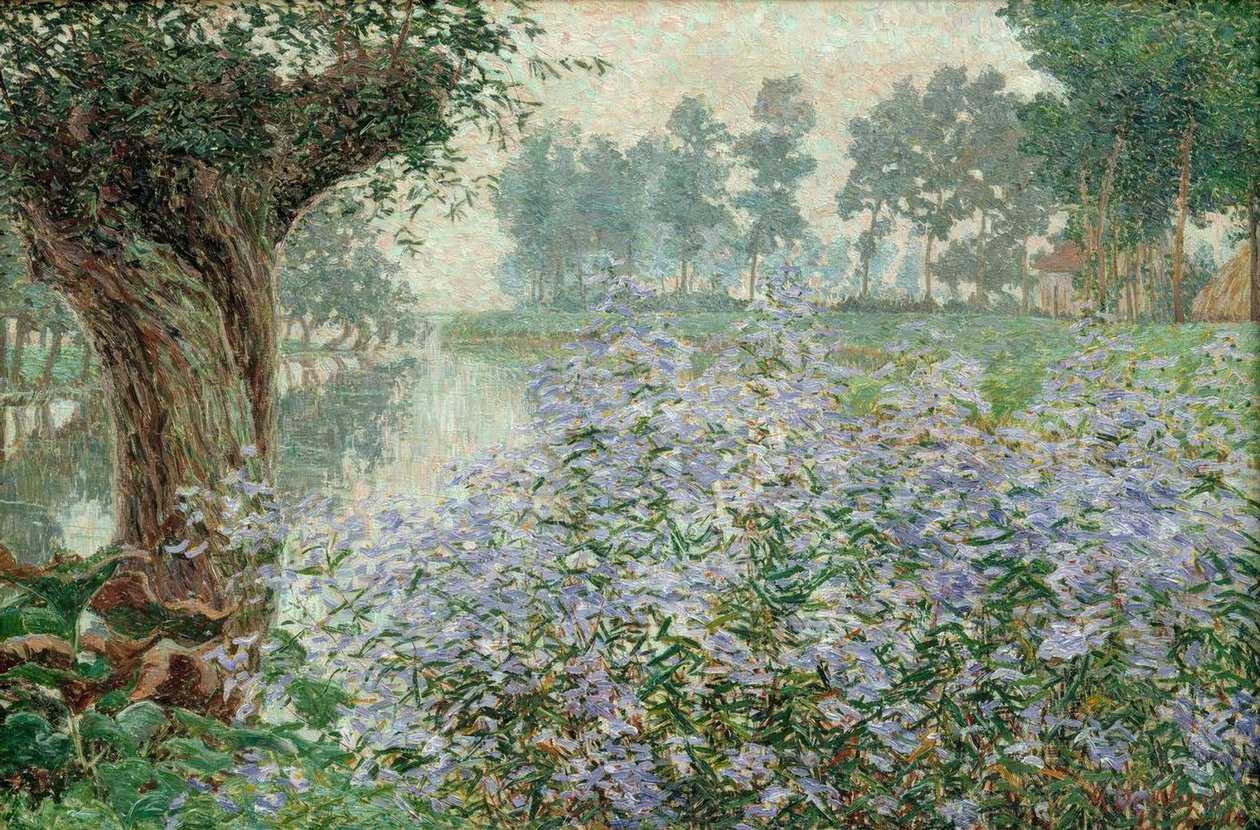 Brouillards d