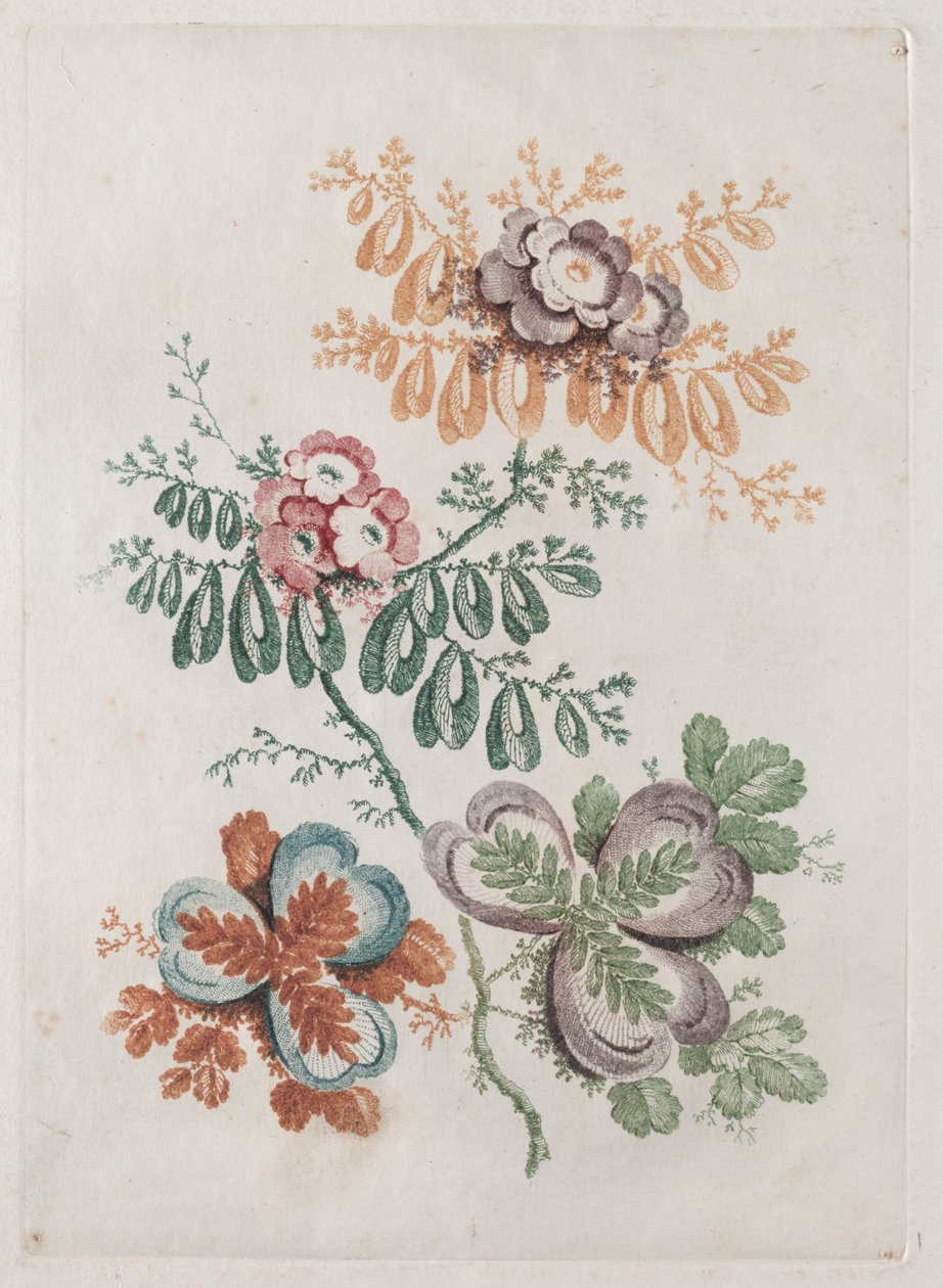 Nouvelle suite de portfolios de fleurs idéale pour la conception et la peinture : Fantaisies florales - Anne Allen