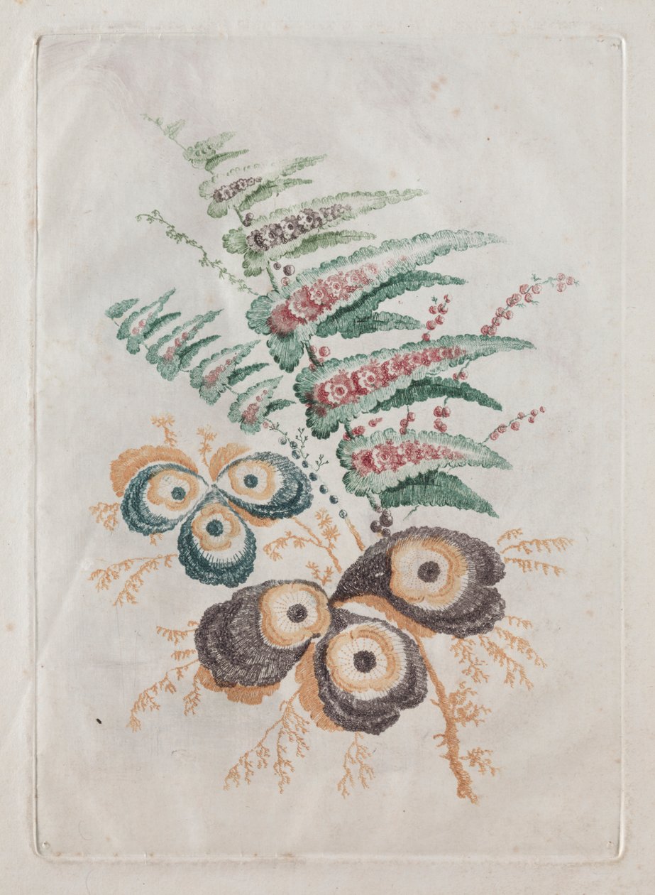 Nouvelle suite de portfolios de fleurs idéale pour la conception et la peinture : Fantaisies florales - Anne Allen