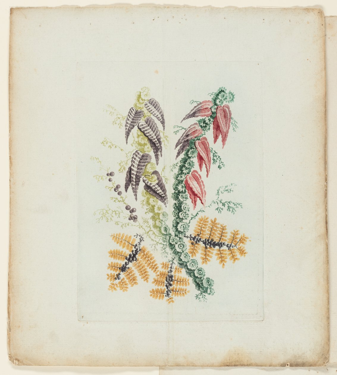 Assiette, de la Nouvelle Suite de Carnets de Fleurs Idéales pour l