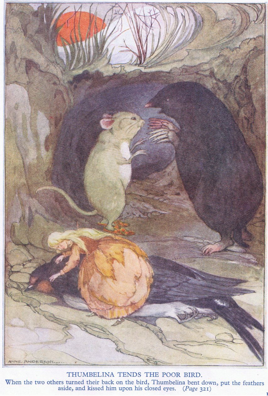 Poucette soigne le pauvre oiseau - Anne Anderson