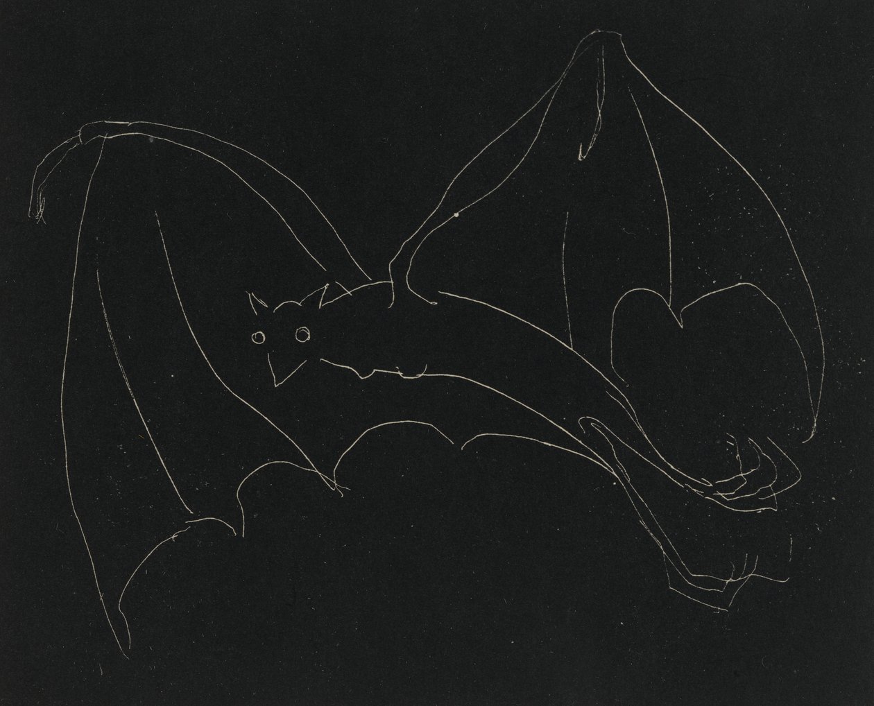 Série de nuit : La Chauve-souris - Anne Goldthwaite