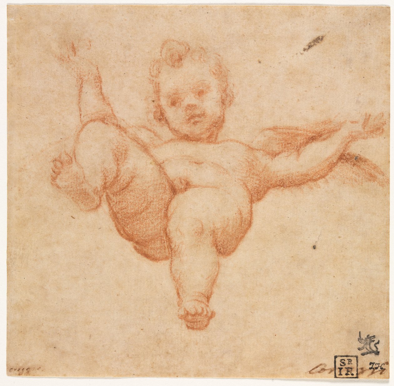 Cupidon volant, vers 1602 - Annibale Carracci
