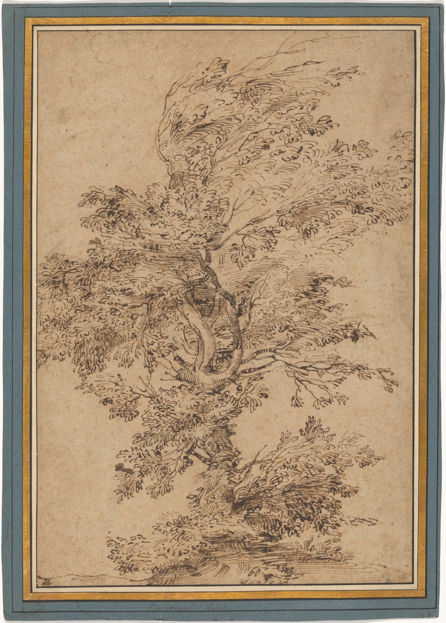 Studie eines Baumes - Annibale Carracci