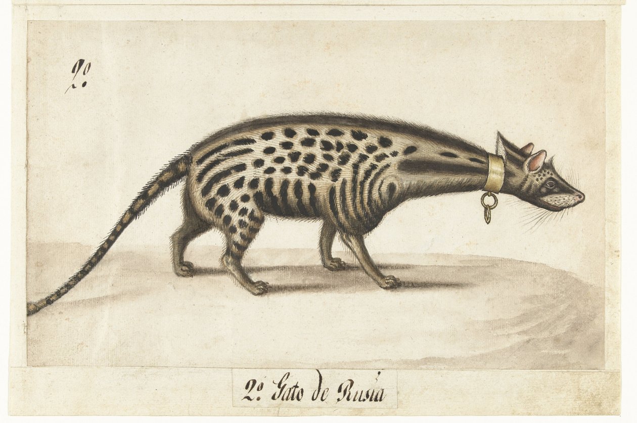 Feuille d