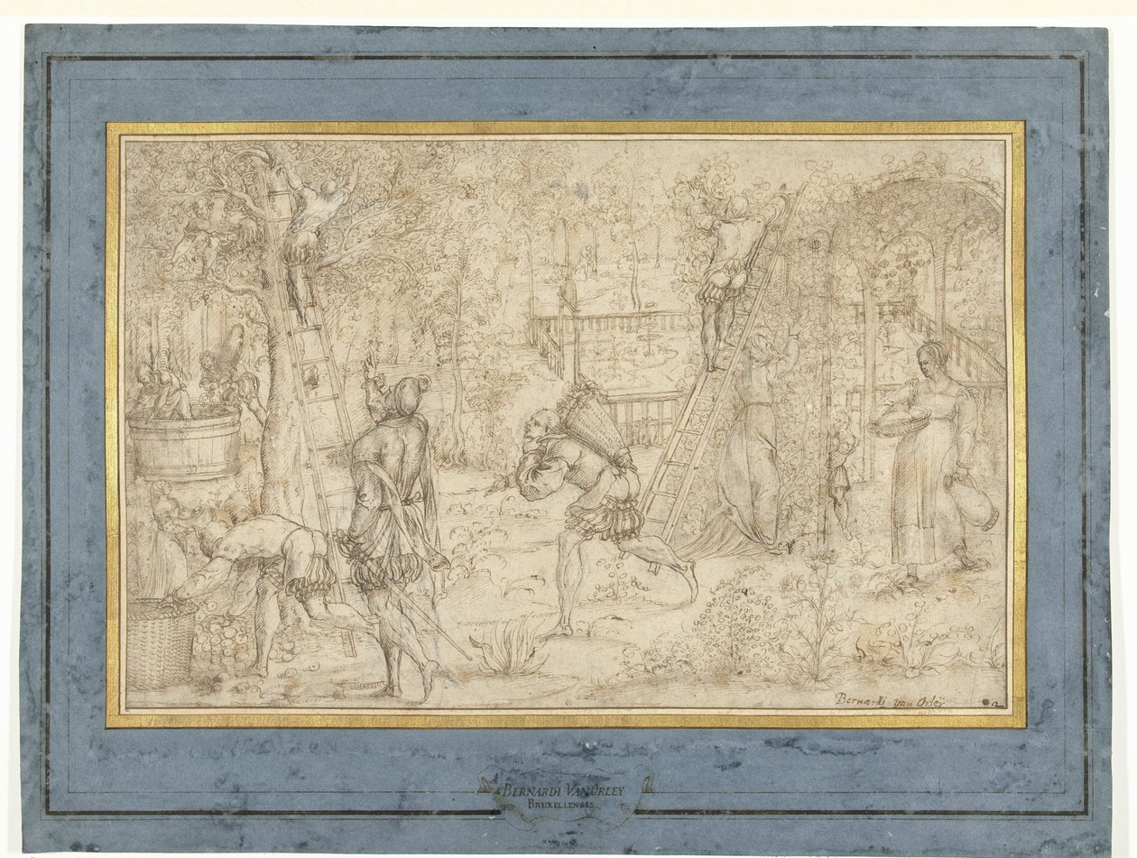 Récolte de pommes et vendange - Anonymous