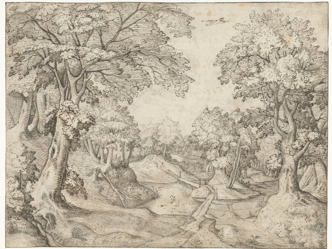 Paysage forestier avec un ruisseau - Anonymous