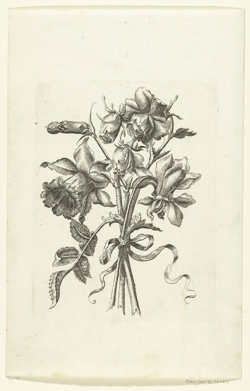 Trois fleurs, dont une jonquille et un œillet - Anonymous