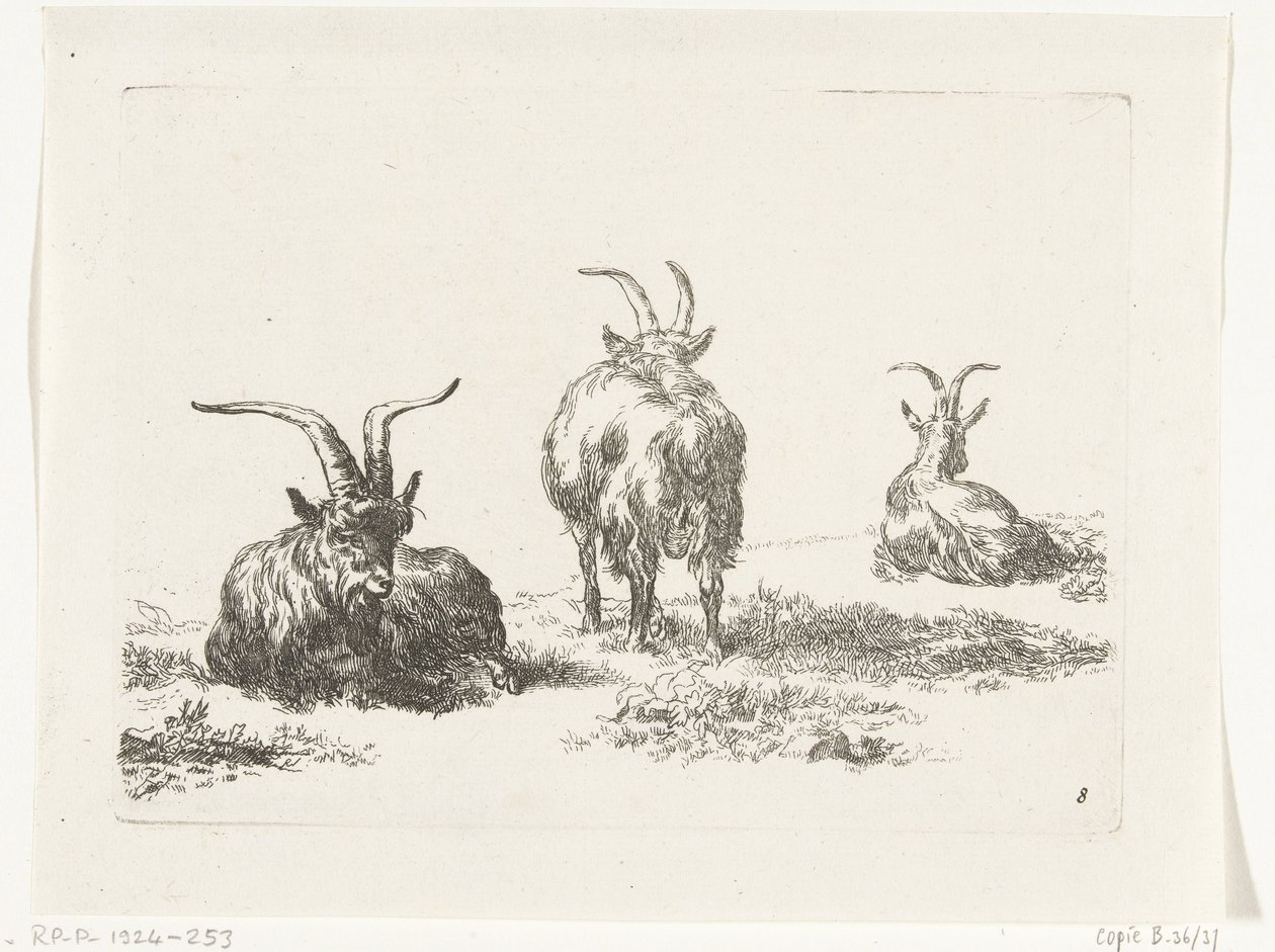 Trois chèvres - Anonymous