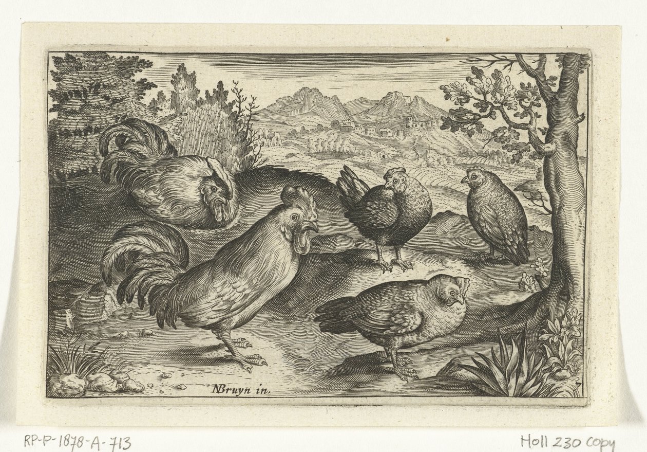 Trois poules et deux coqs - Anonymous