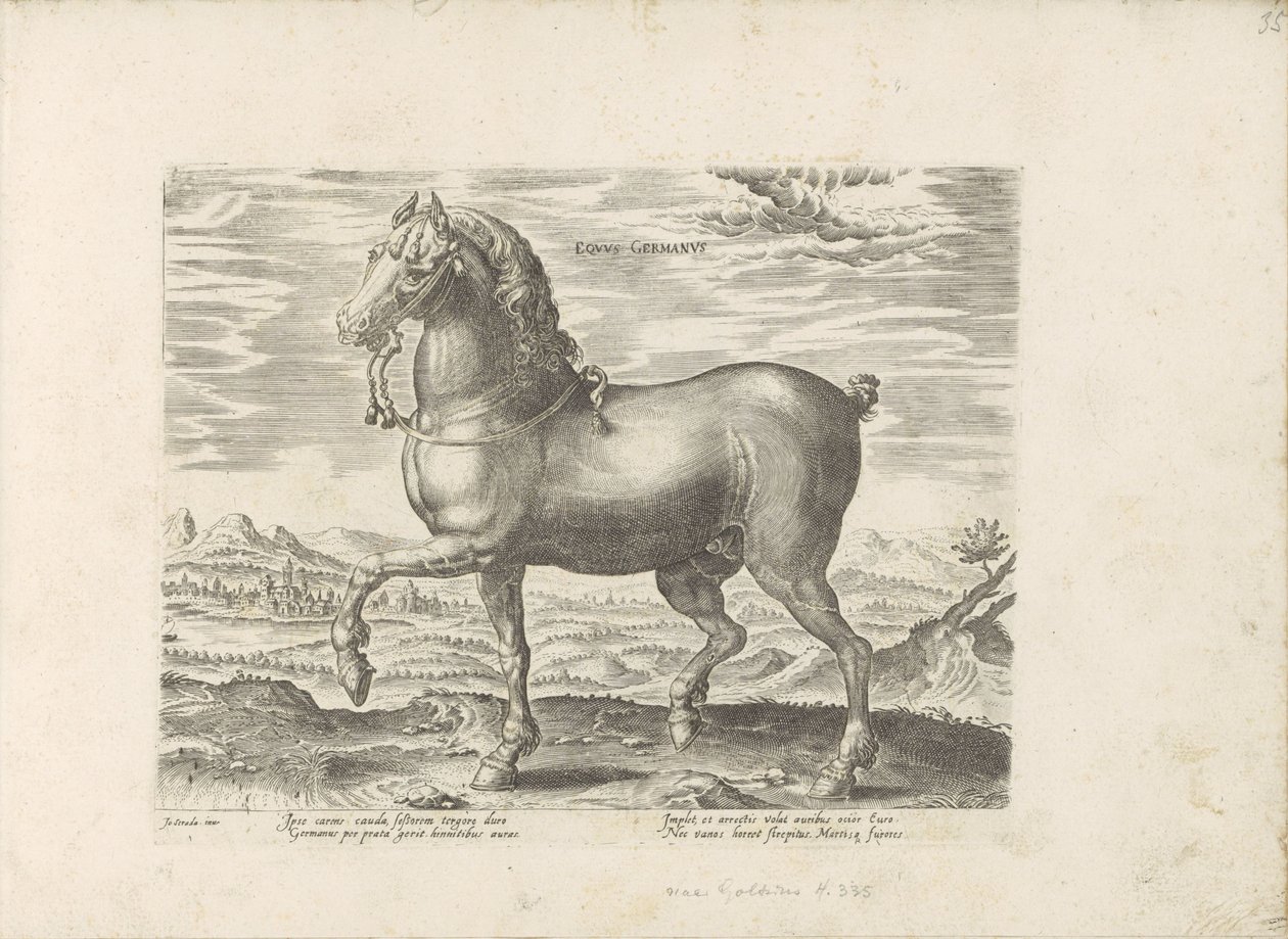 Cheval allemand - Anonymous
