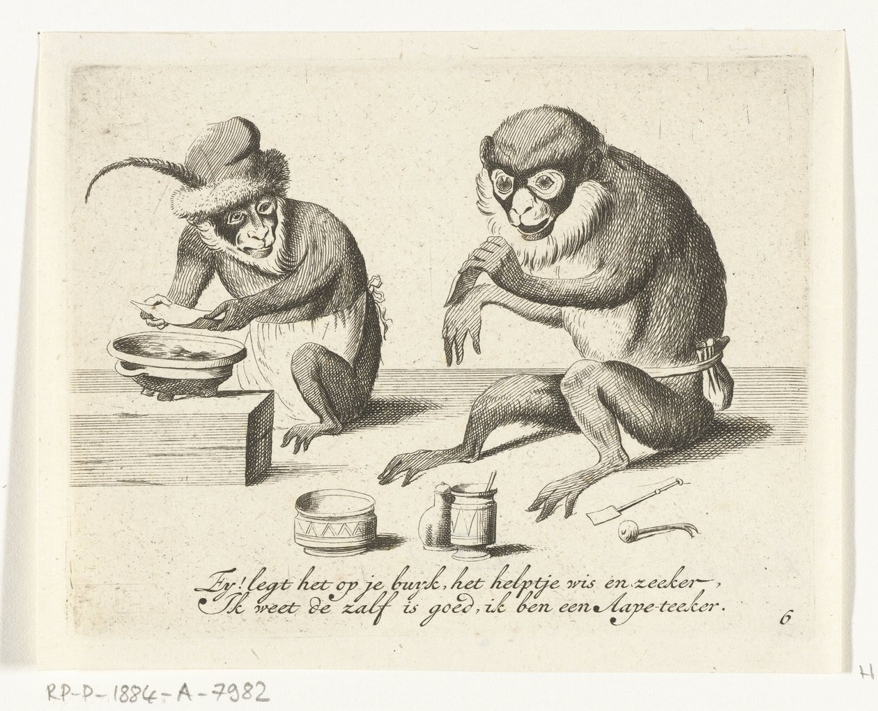 Un singe applique un bandage - Anonymous