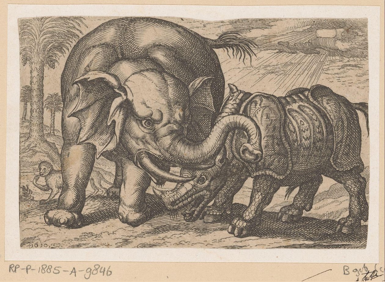 Un rhinocéros combattant un éléphant - Anonymous