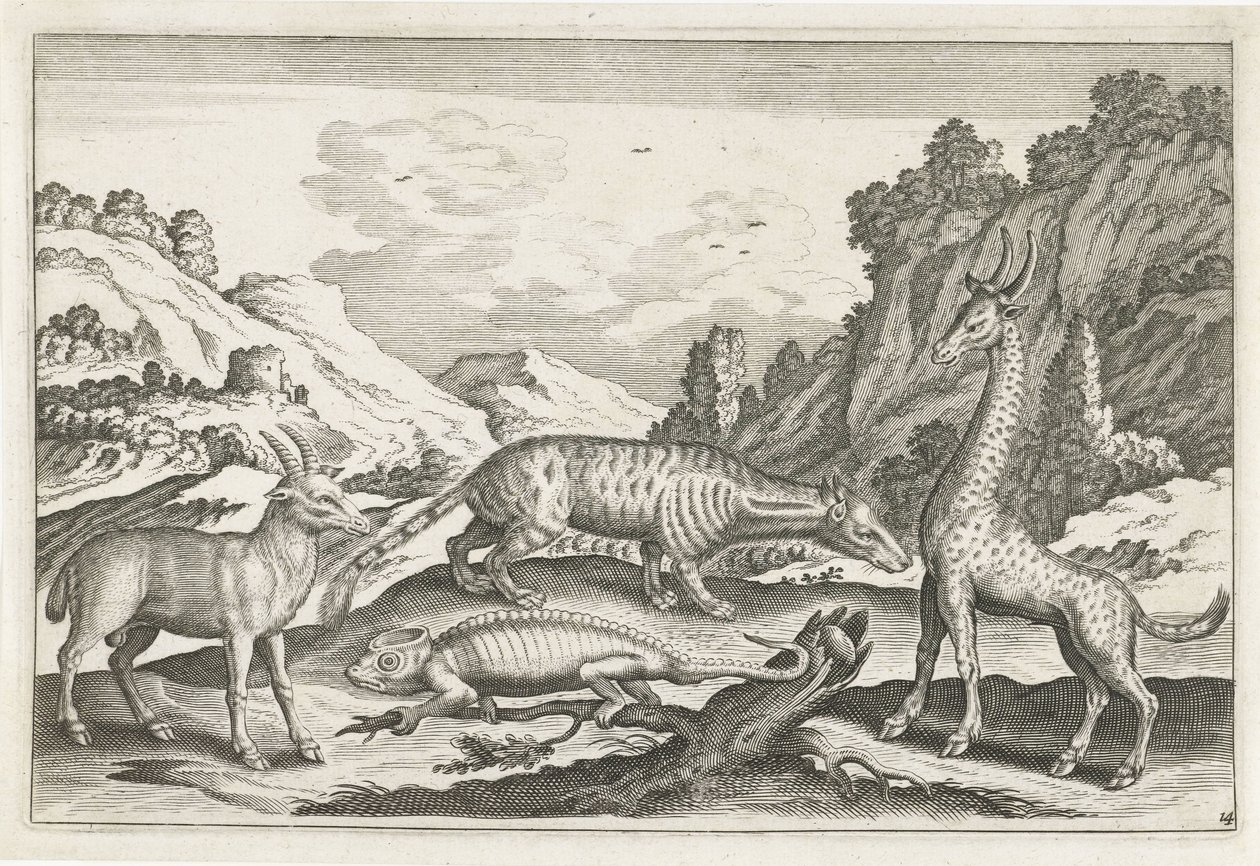 Animaux exotiques - Anonymous