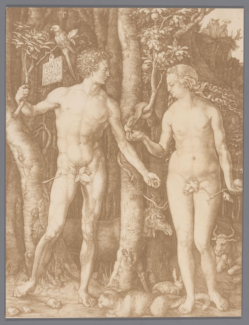 Reproduction photographique de la gravure Adam et Ève par Albrecht Dürer - Anonymous