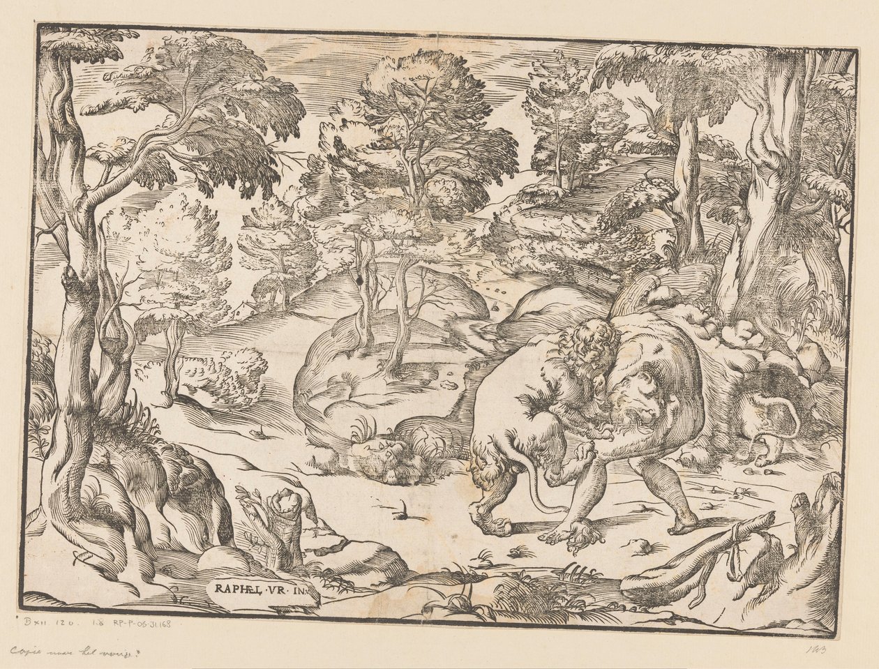 Hercule et le lion de Némée - Anonymous