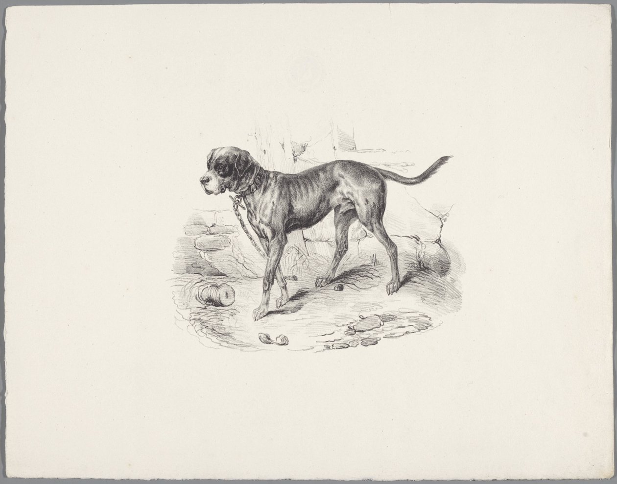 Chien enchaîné - Anonymous